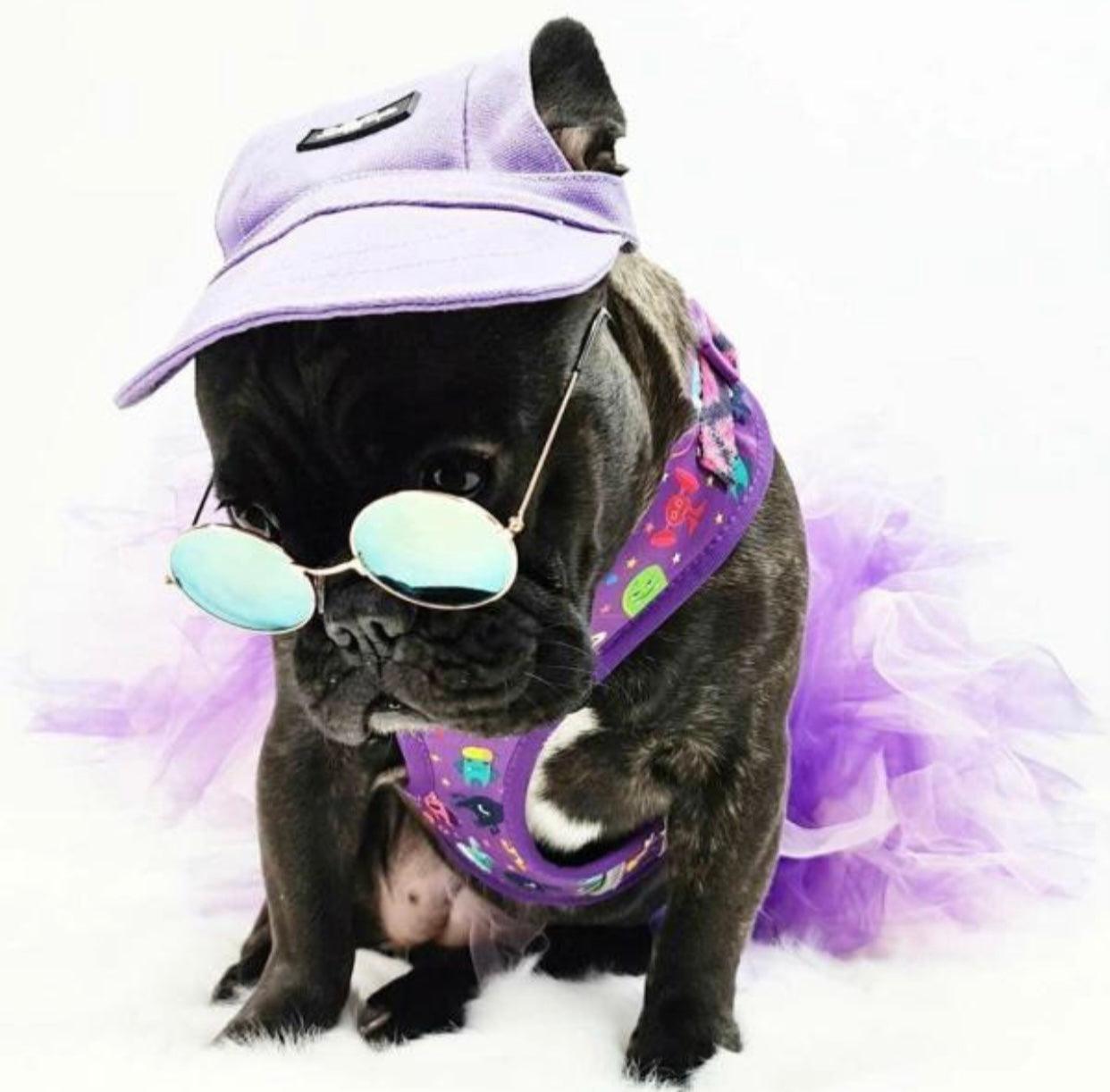 Casquette pour animaux violette