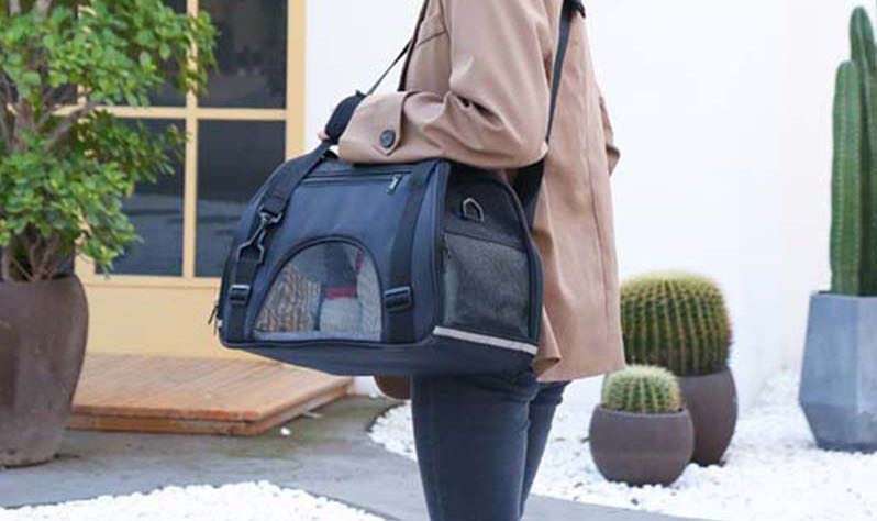 Sac à main de transport pour animaux