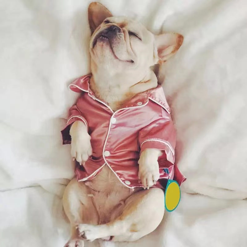 Pyjama pour animaux
