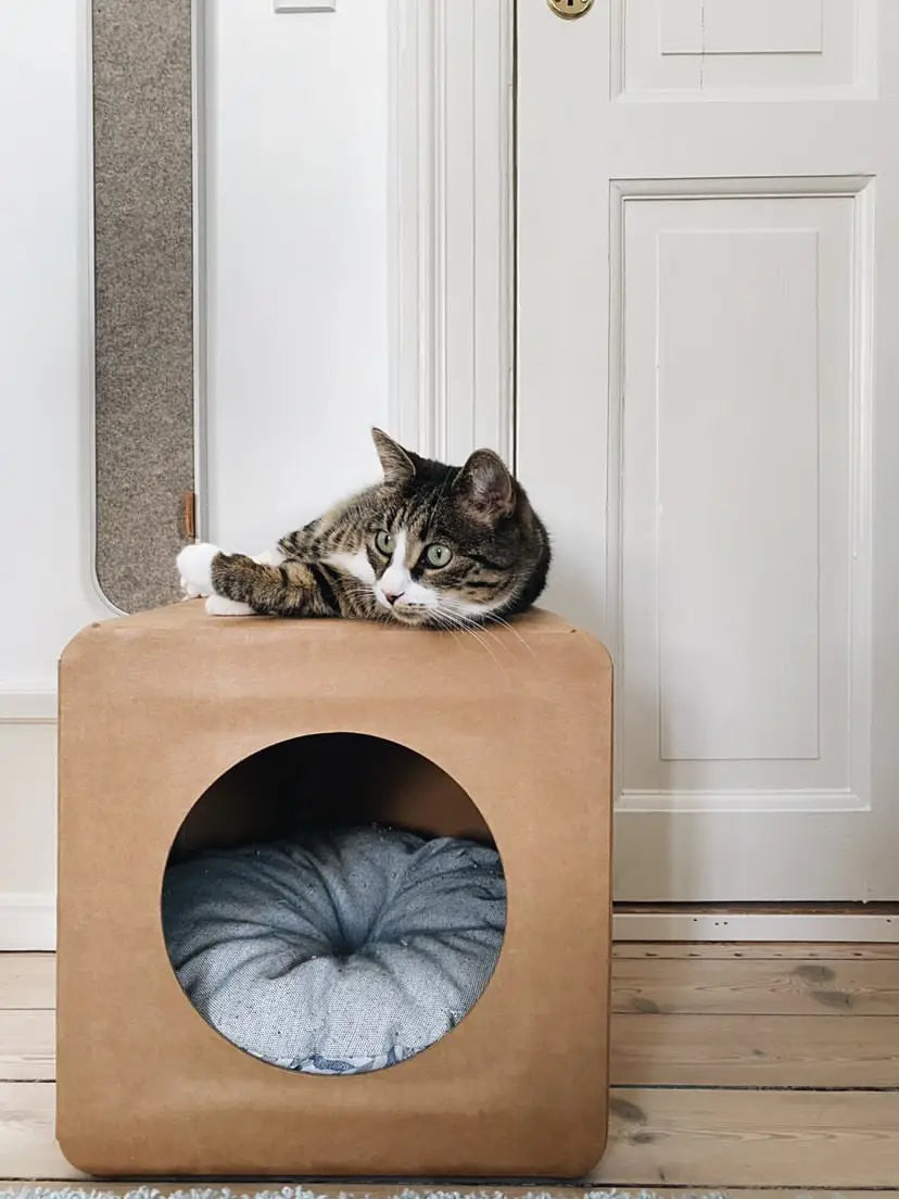 a cat lying down on a cardboard house made out of MULGEO's box-chair