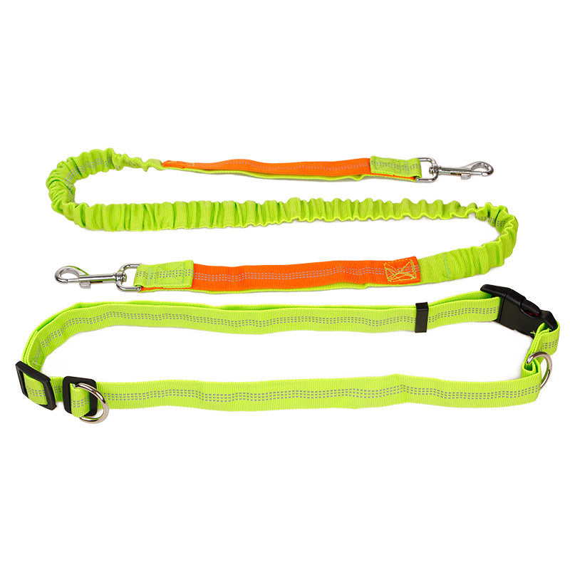 Ceinture de traction élastique et réfléchissante pour animaux de compagnie
