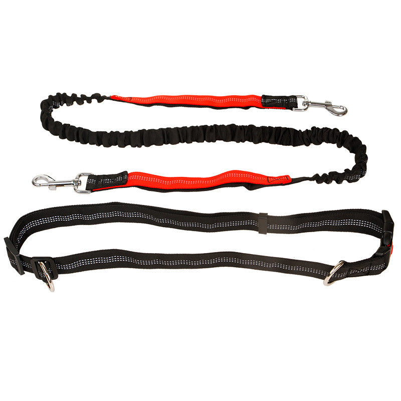 Ceinture de traction élastique et réfléchissante pour animaux de compagnie