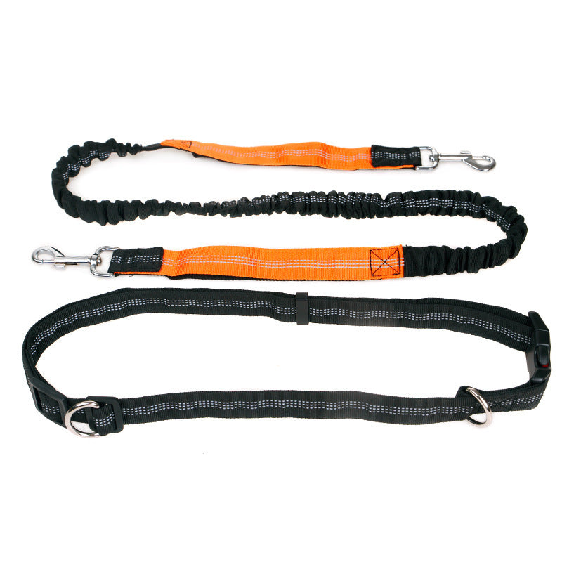 Ceinture de traction élastique et réfléchissante pour animaux de compagnie