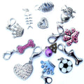 Kit de démarrage pour la vente au détail de bijoux pour animaux de compagnie