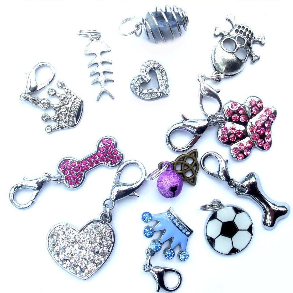 Kit de démarrage pour la vente au détail de bijoux pour animaux de compagnie