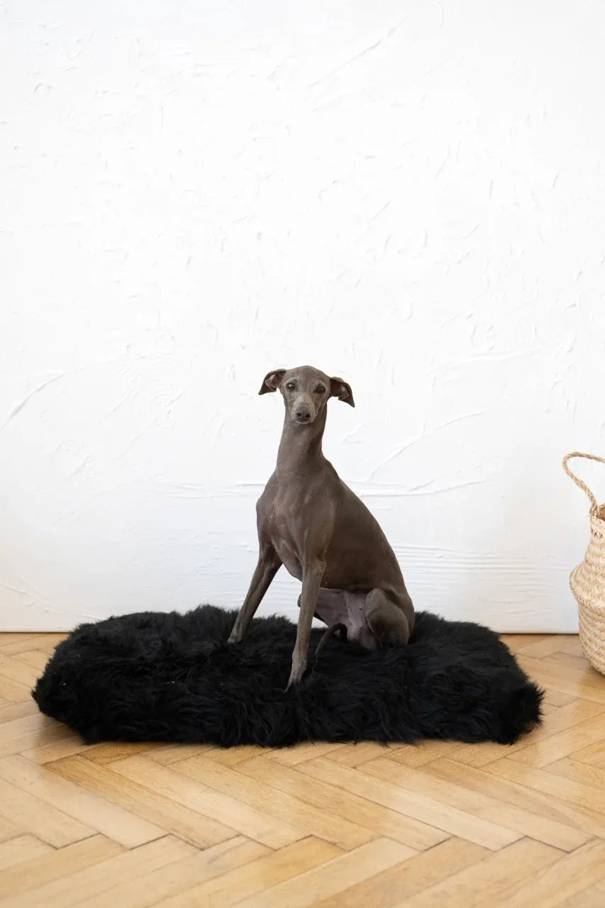 Tapis pour animaux de compagnie en peau de mouton naturelle, carré ou rectangulaire - Noir