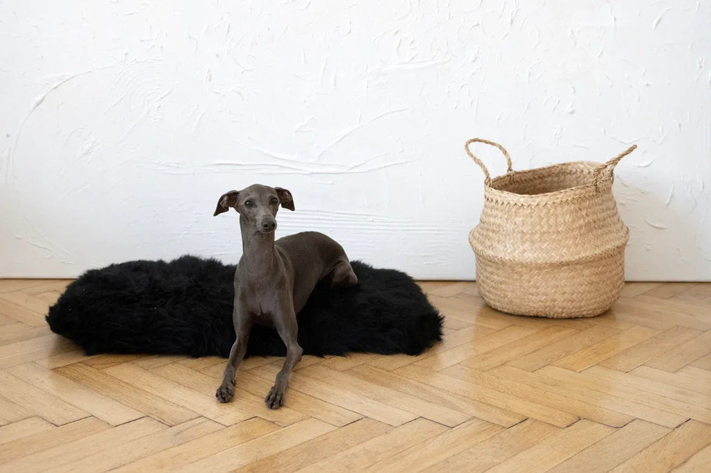 Tapis pour animaux de compagnie en peau de mouton naturelle, carré ou rectangulaire - Noir