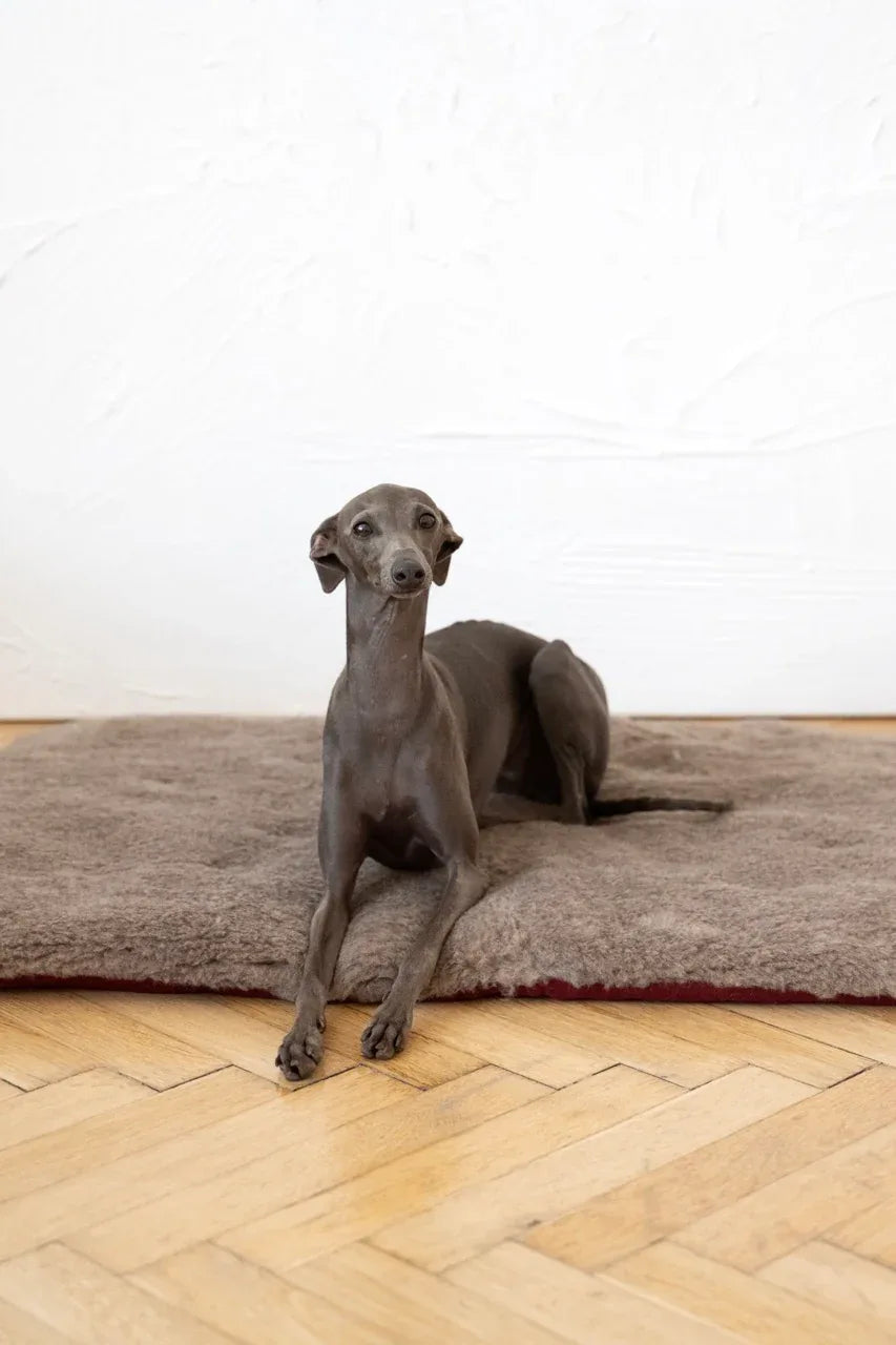Tapis pour animaux de compagnie en laine naturelle - carré ou rectangulaire - beige