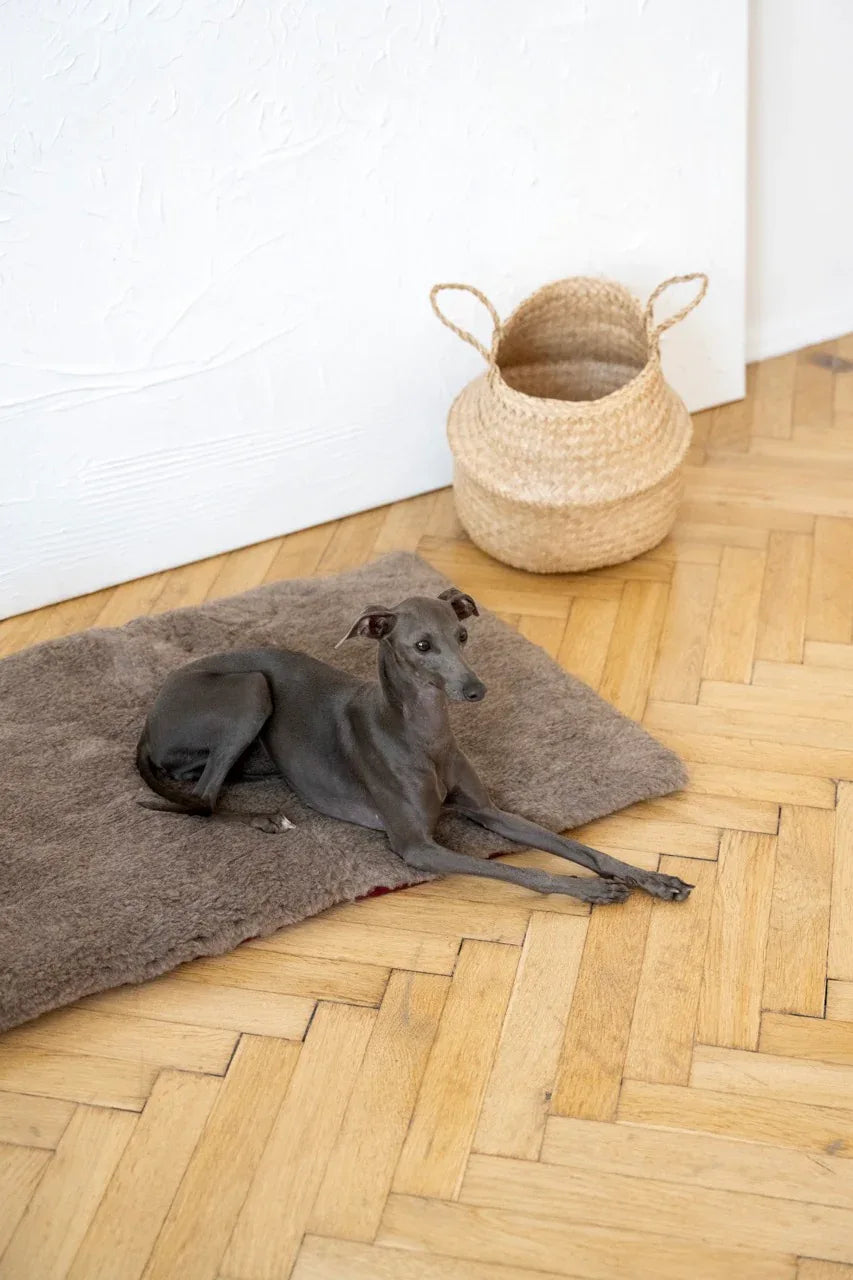 Tapis pour animaux de compagnie en laine naturelle - carré ou rectangulaire - beige