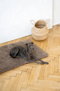 Tapis pour animaux de compagnie en laine naturelle - carré ou rectangulaire - beige