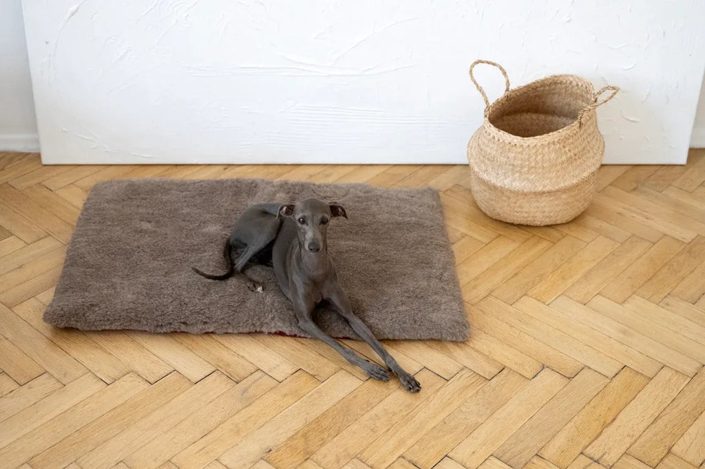 Tapis pour animaux de compagnie en laine naturelle - carré ou rectangulaire - beige