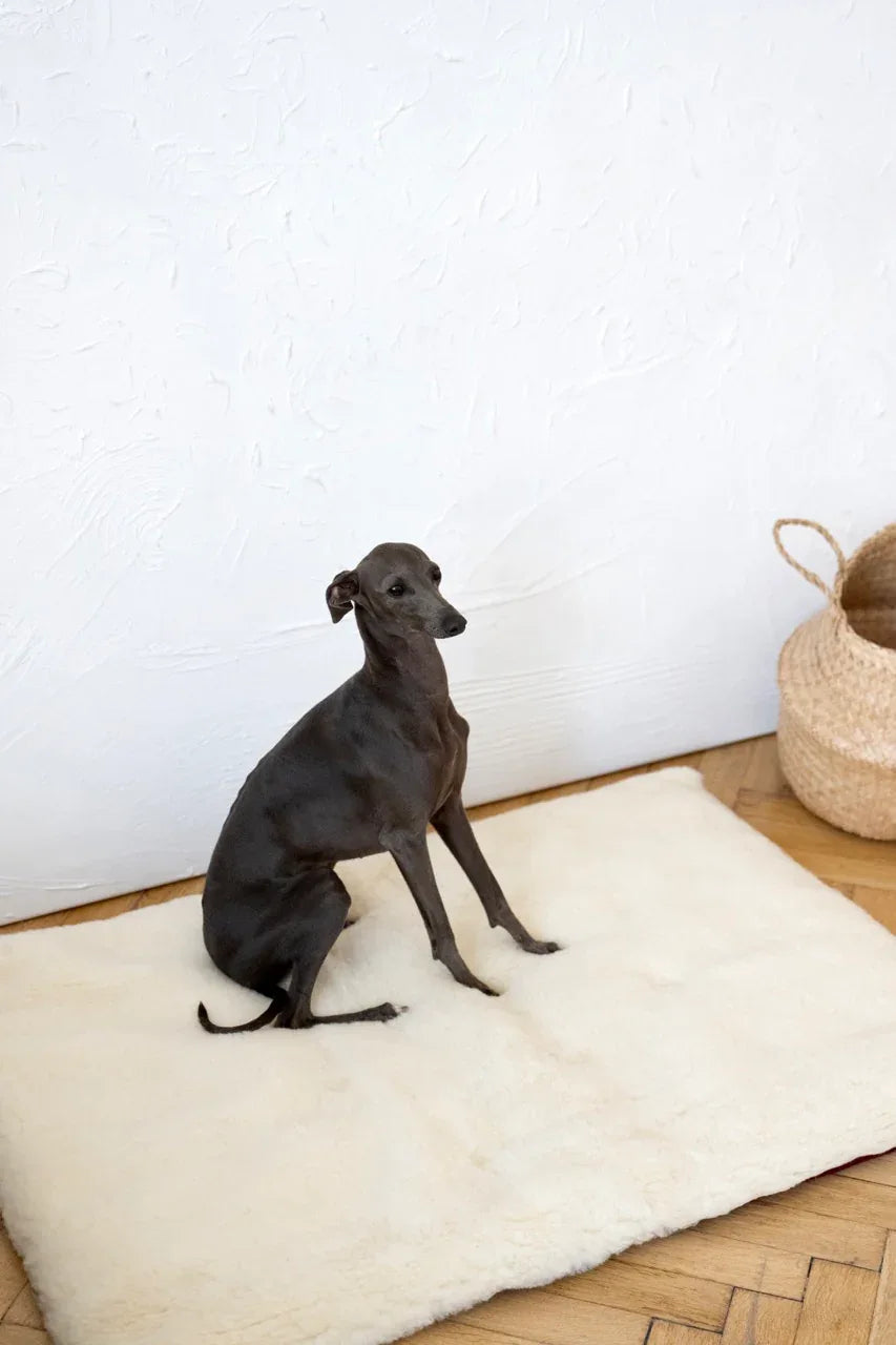 Tapis pour animaux en laine naturelle, carré ou rectangulaire - Blanc
