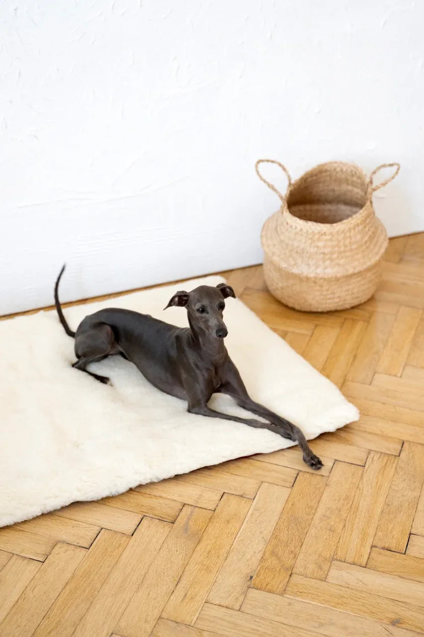 Tapis pour animaux en laine naturelle, carré ou rectangulaire - Blanc