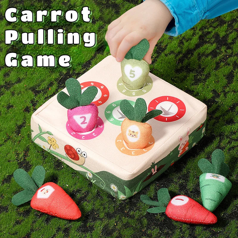 Montessori Baby Toy