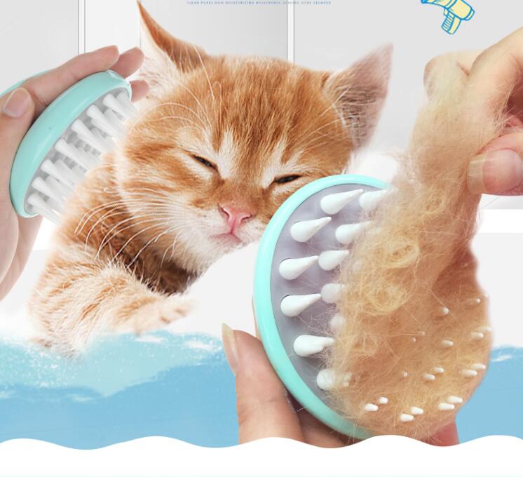 Brosse pour le toilettage des animaux