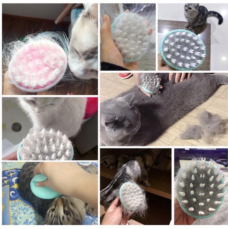 Brosse pour le toilettage des animaux