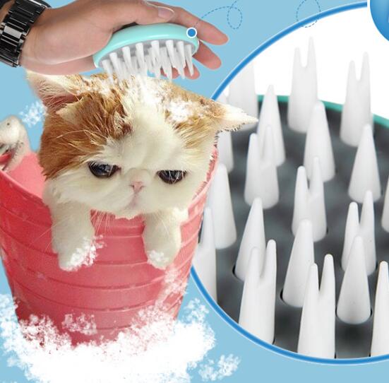 Brosse pour le toilettage des animaux