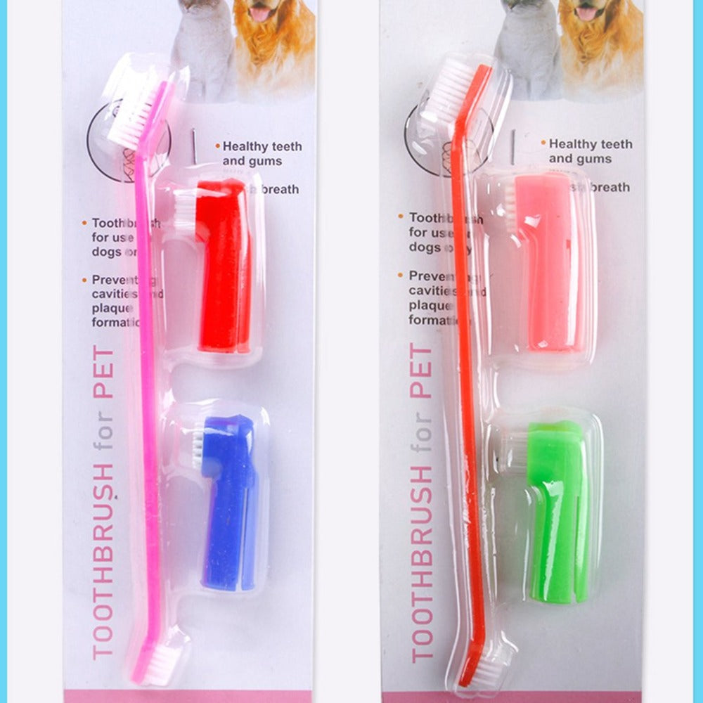 Ensemble de brosses dentaires pour animaux de compagnie