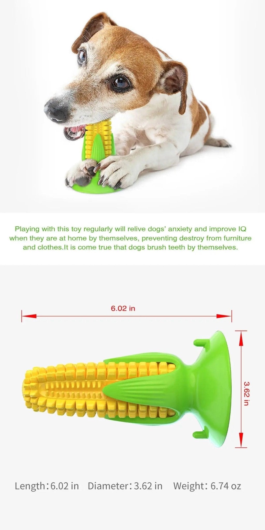 Jouet à mâcher en caoutchouc pour chien Pet Master
