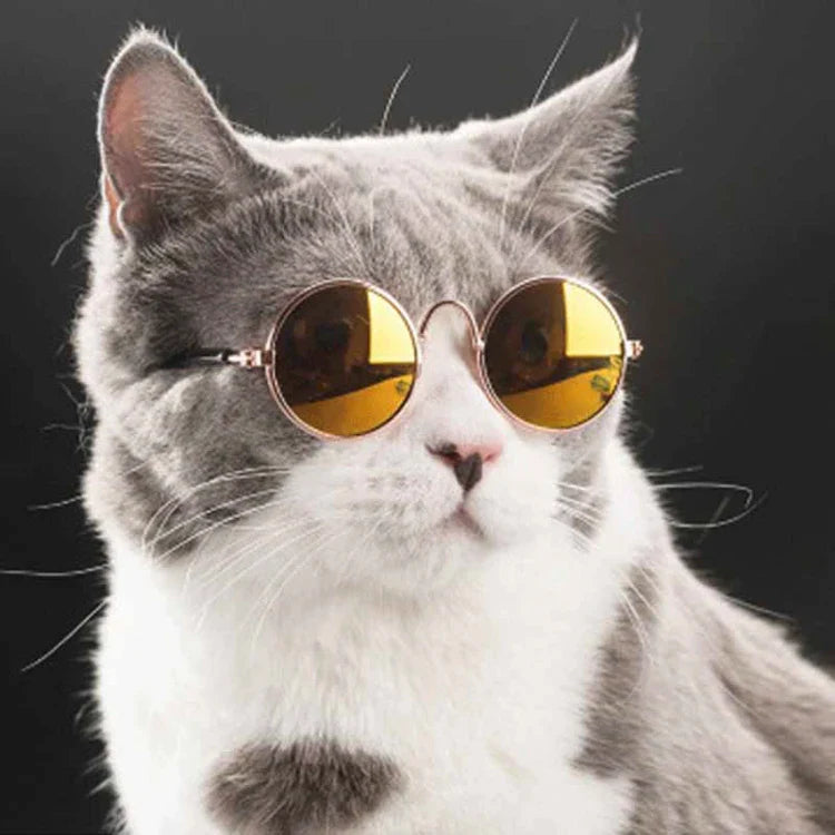 Lunettes de soleil rondes vintage pour animaux de compagnie
